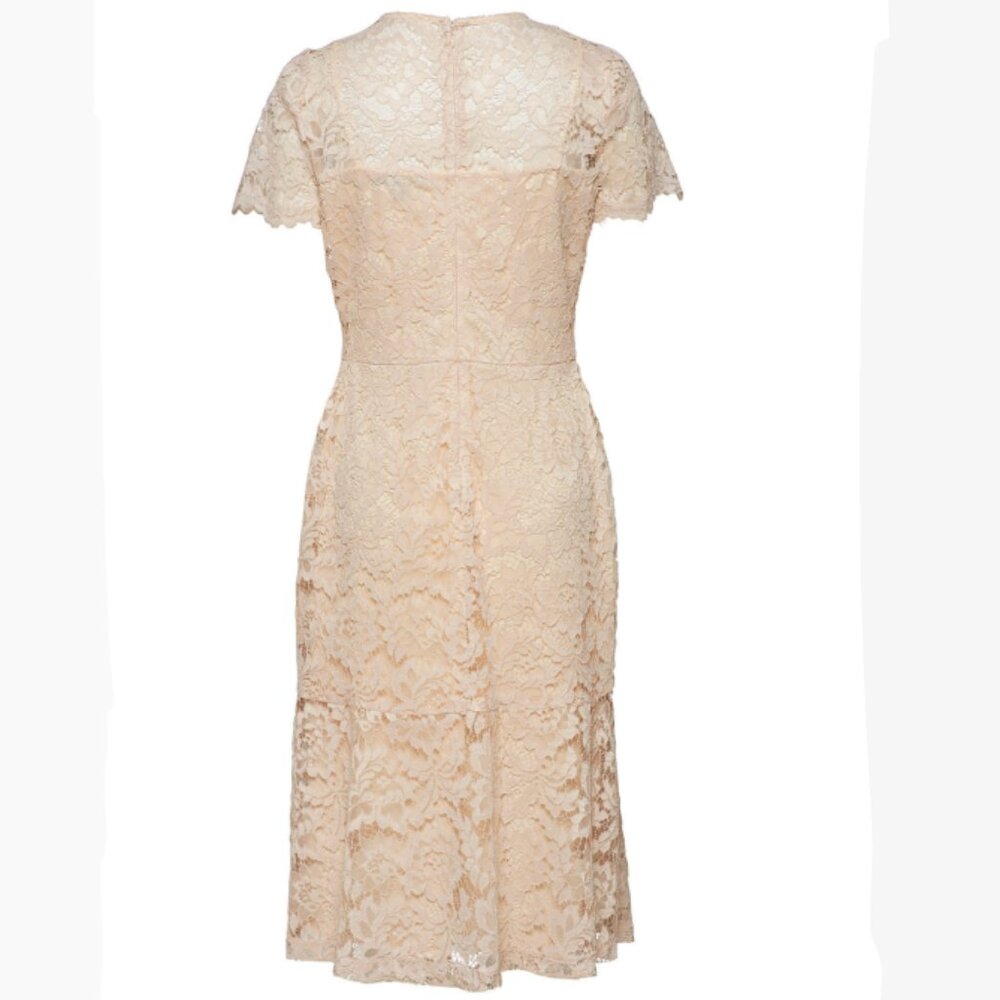 Brand New Gorgeous Women's Lauren Ralph Lauren Lace Formal Dress - Picture 15 of 15